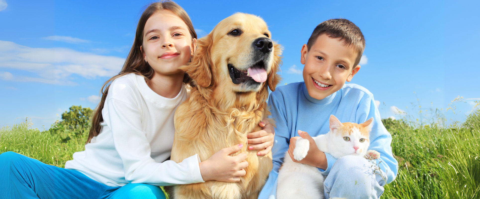 The Impact of Pet Ownership on Children’s Health and Immune Systems